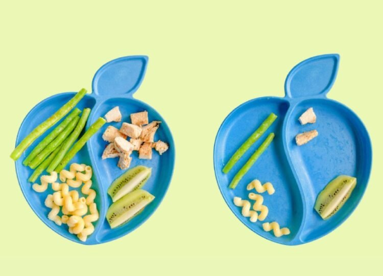 Entenda a divisão de responsabilidade na alimentação