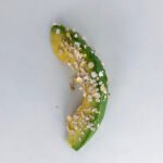 How to Serve: Avocado 4 how to serve avocado