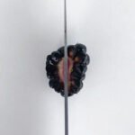 blackberry for babies