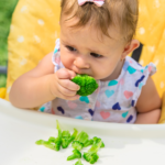 moving from purees to finger foods