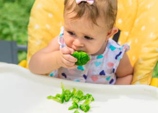 moving from purees to finger foods