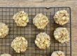 apple cinnamon baked oat bites