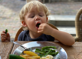 feeding baby to toddler